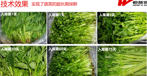 果（guǒ）蔬肉食儲藏解決方（fāng）案(圖2)