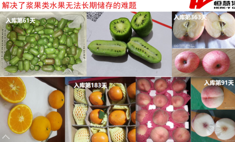 果蔬肉食儲藏（cáng）解（jiě）決方案(圖（tú）3)